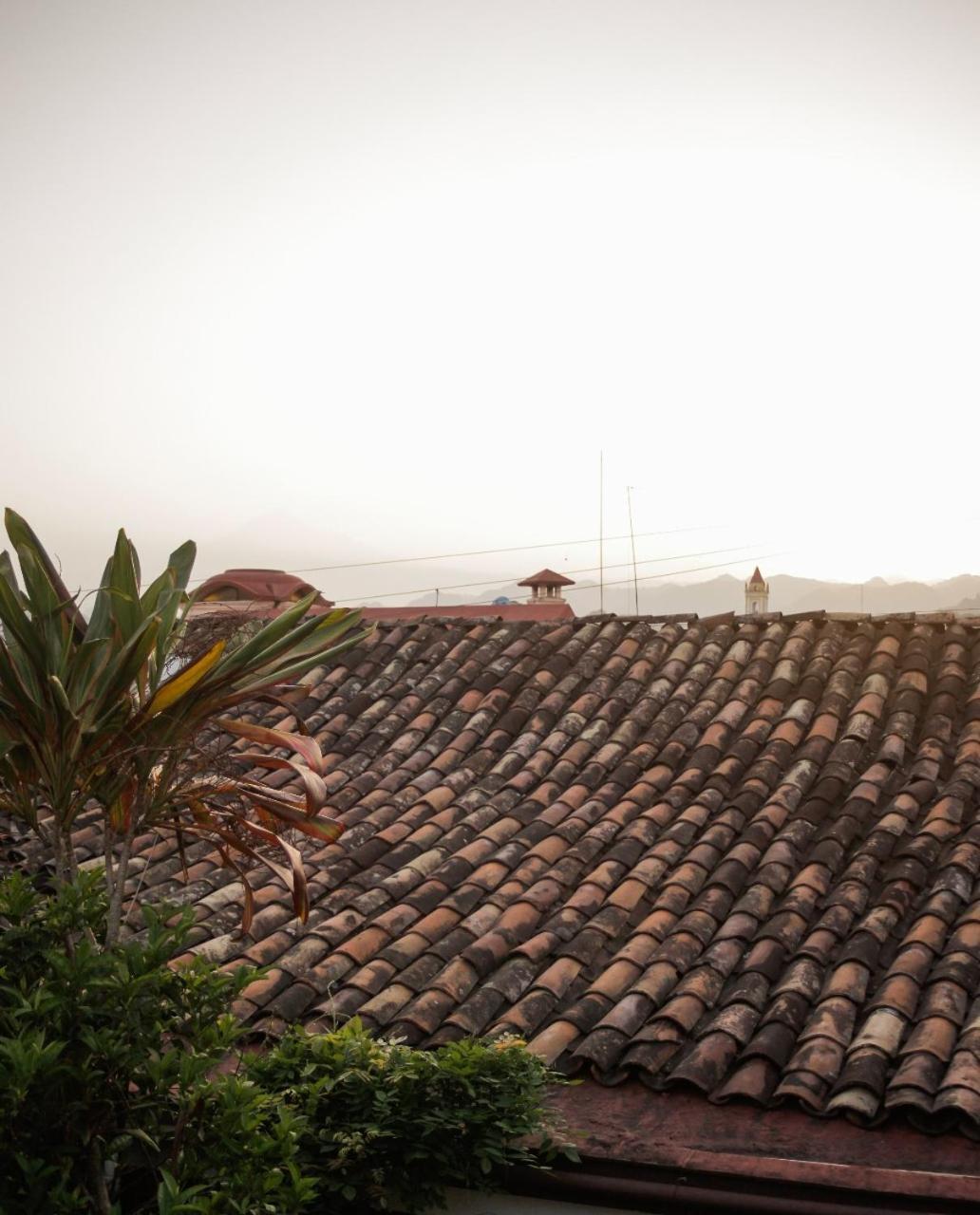 Posada Galeria Alberto Sedas Huatusco Εξωτερικό φωτογραφία