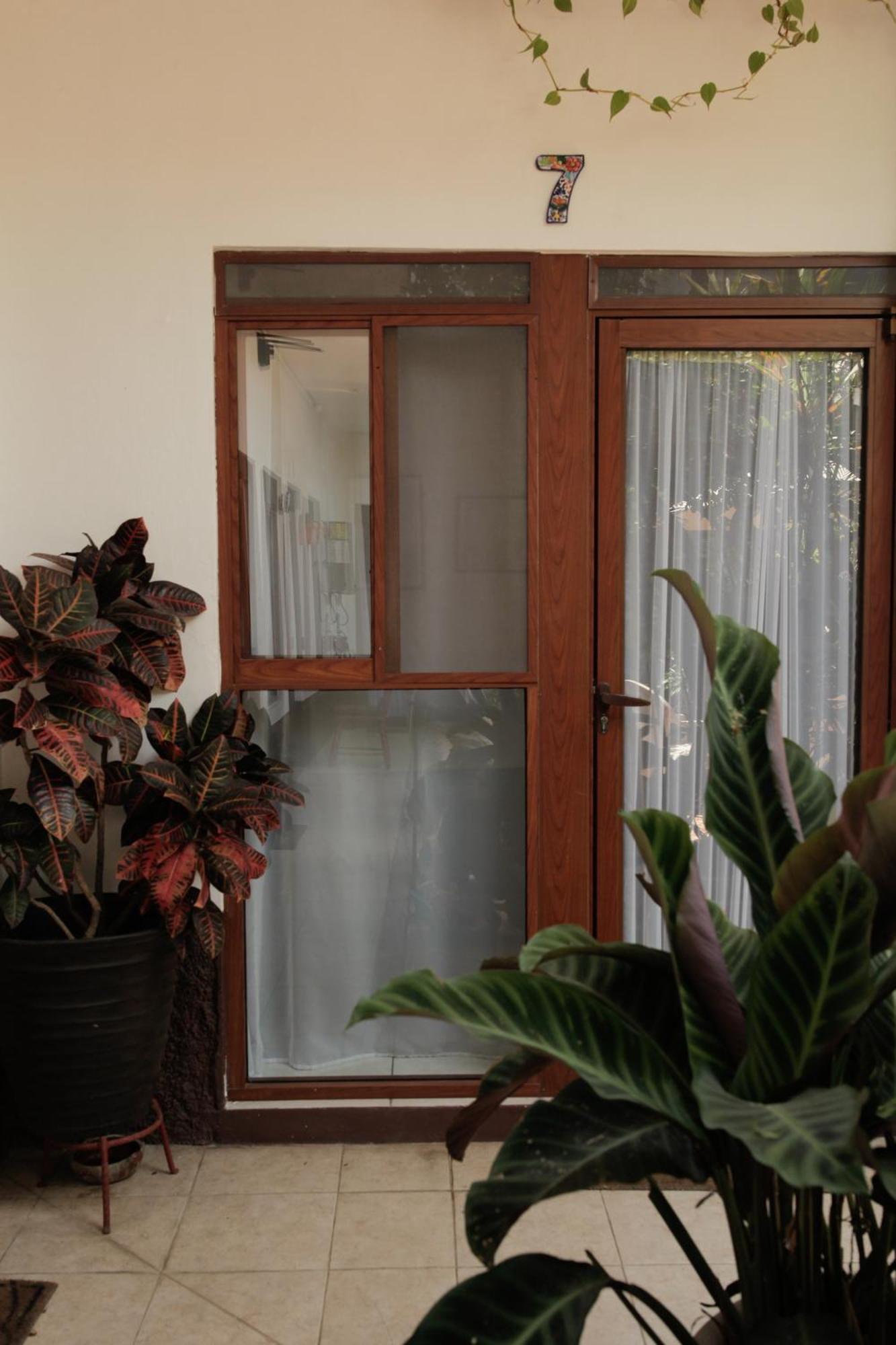 Posada Galeria Alberto Sedas Huatusco Εξωτερικό φωτογραφία